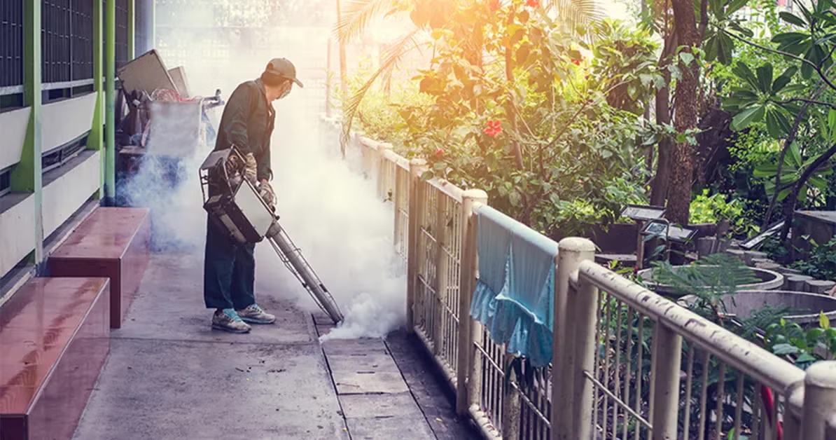 Cuộc chiến chống lại bệnh sốt xuất huyết đang diễn ra trên toàn cầu