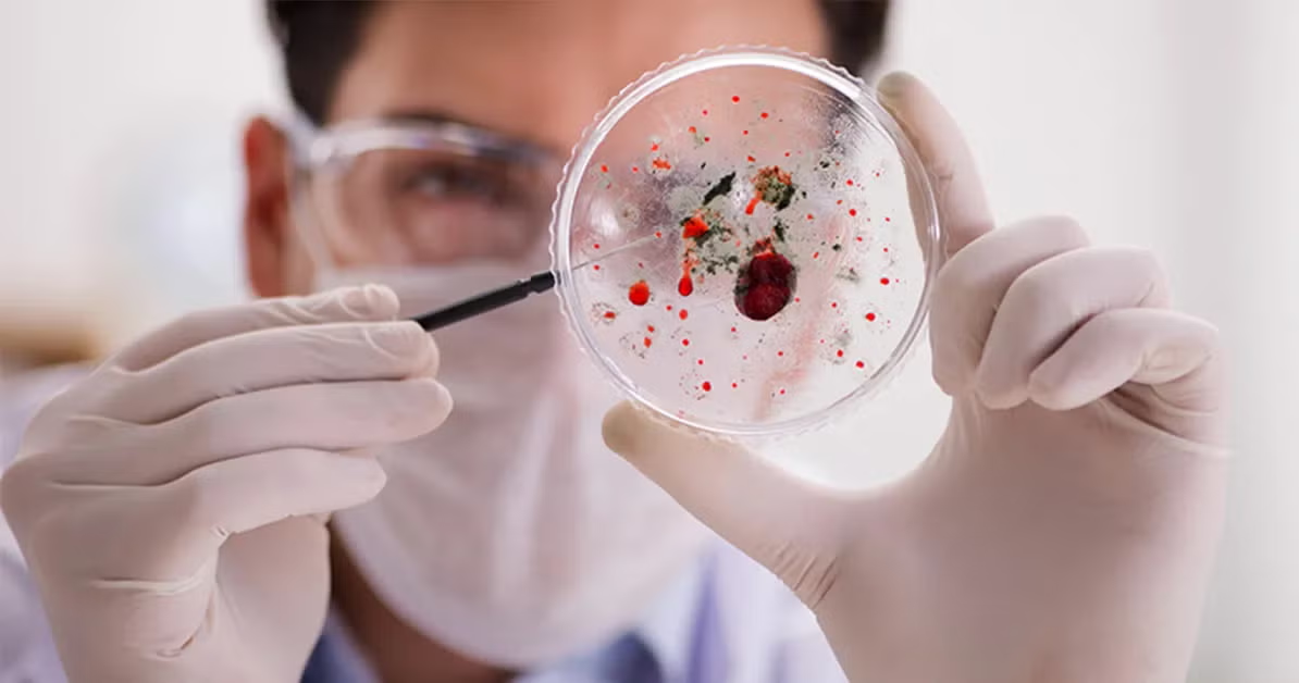 Đẩy lùi bệnh sốt xuất huyết Dengue: khám phá các chiến lược tương lai
