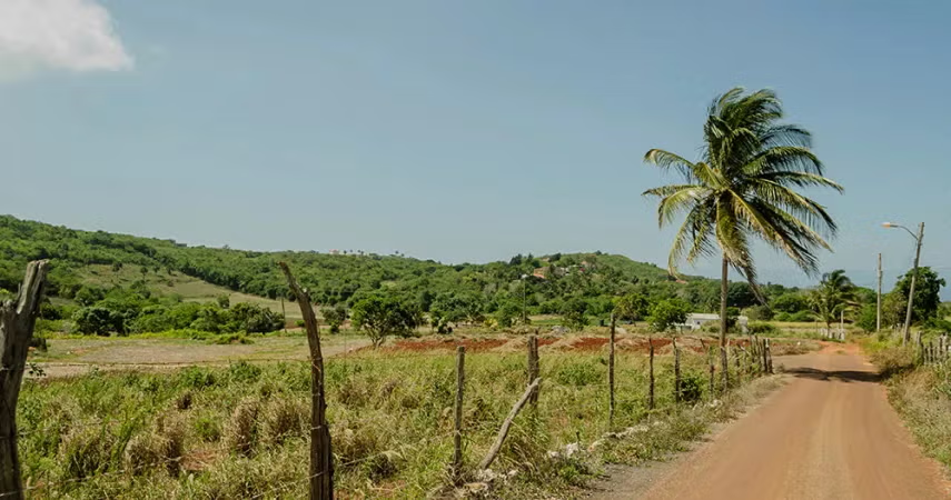 Dịch sốt xuất huyết Dengue tại Jamaica năm 2023