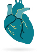 Heart/blood circulation disorders