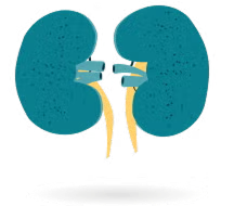 Kidney conditions