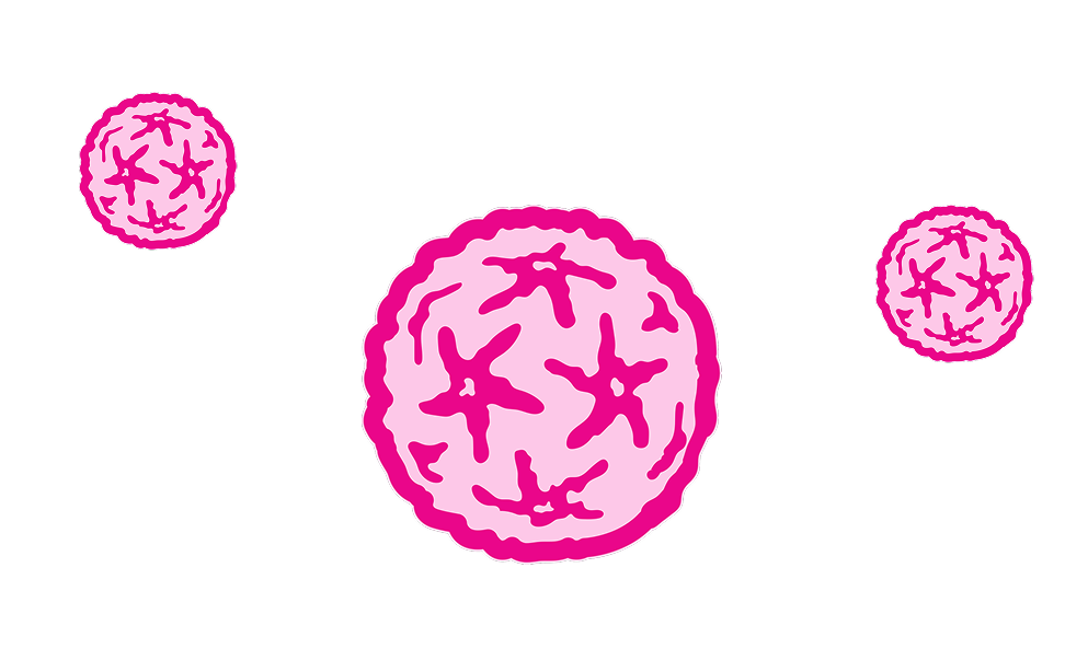 SỐT XUẤT HUYẾT DENGUE LÀ&nbsp;GÌ?
