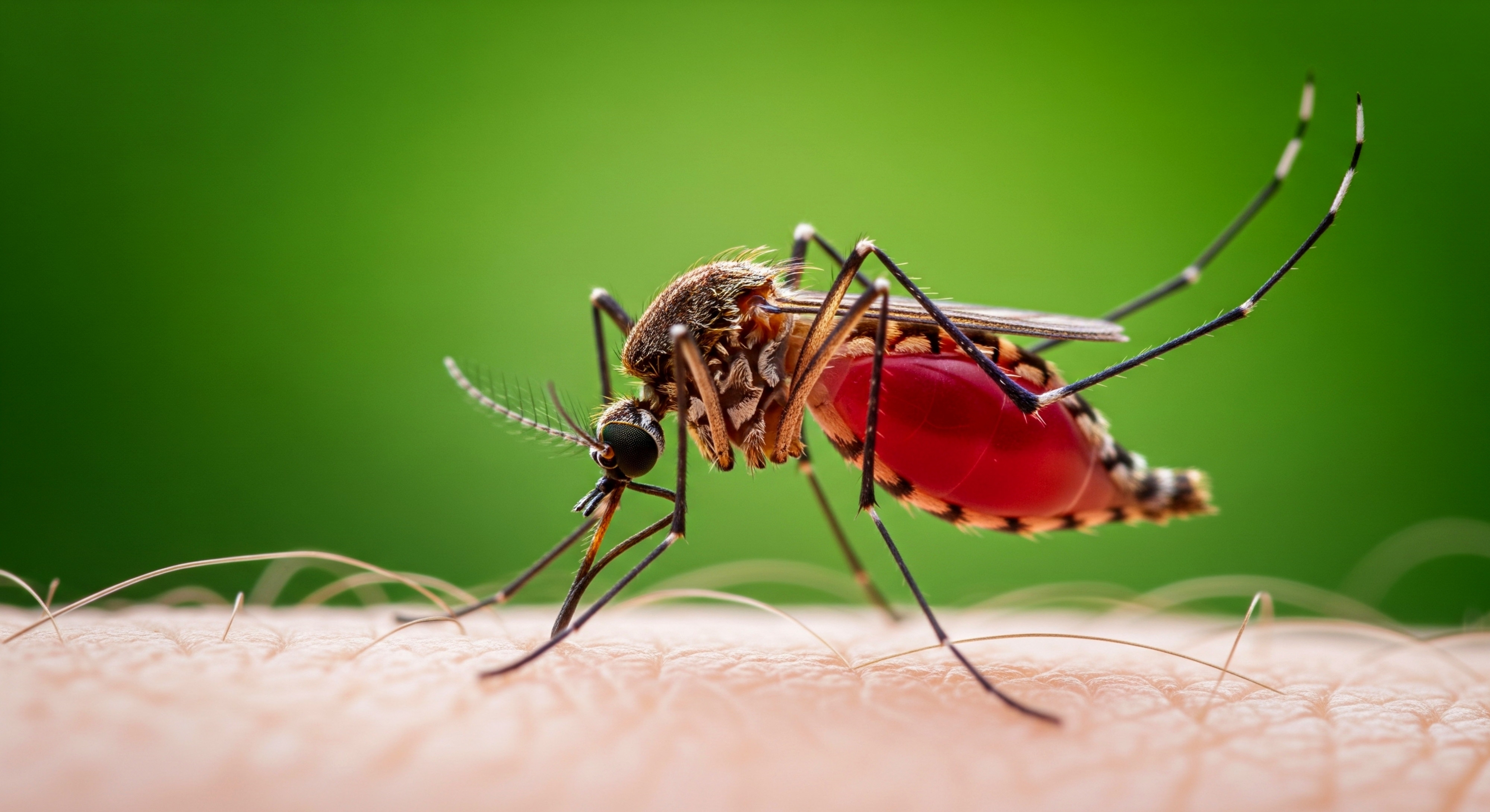 Phân biệt phát ban do sởi và sốt xuất huyết Dengue ở trẻ 